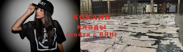 шишки Балахна