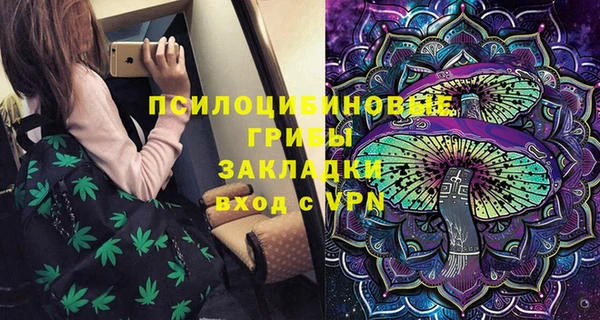 сатива Арсеньев